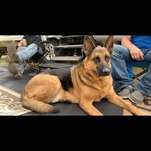 Meet your Posher, Deanna